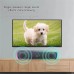 K2835 Computer Speaker Wired bluetooth Soundbar Dual 52mm Speaker 4D Stereo 360° Surround Sound RGB Light Knob-type Desktop Speaker USB Power Supply