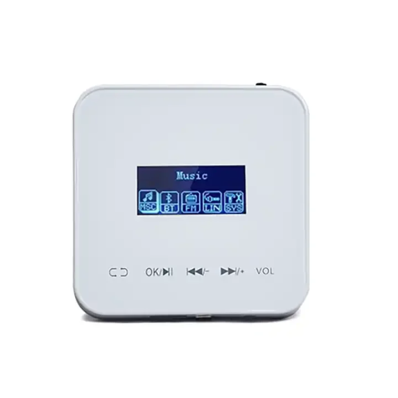 Mini Wall-mounted bluetooth Amplifier Smart Home Background Music System 2 Channels Audio Amplifier