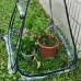 PVC Warm Garden Folding Mini Greenhouse Plants Cover Waterproof Plants Protector 31.20x27.30inch