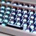 Gamakay 45Pcs Pre-lub Mechanical Switch Planet Series Tactile Silent / Linear Light Guide Switch for DIY Mechanical Gaming Keyboard