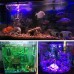 38cm bluetooth APP RGB LED Aquarium Fish Tank Lights Submersible Strip Bar Lamp