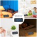 AGSIVO LED Digital Alarm Clock with FM Radio / Dual Alarm / Snooze / External USB Charging Port / Dimmable Night Light For Bedroom / Office