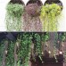 Artificial Weeping Willow Ivy Vine Plants Outdoor Indoor Hanging Decorations