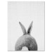 Cute Rabbit Canvas Wall Art Poster Animal Print Paintings Baby Nursery Room