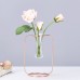 Glass Test Tube Glass Vase Pot Container Holder Plants Flowers Desk Decor Gift