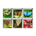 PAG 6pcs 13x13cm Butterfly Pattern 3D Anti Slip Waterproof Bathtub Sticker