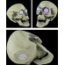 Portable Colorful LED Glowing Skull Night light Halloween Party Decor