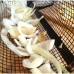 20cm Round Stainless Rolling Barbecue BBQ Grill Basket Net For Vegetables Meat Fish