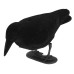 Plastic Bird Hunting Realistic PE Black Yard Crow Hunting Decoy Garden Bird Deter Scarer Scarecrow Pest Deterrent Repeller Hunting