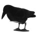 Plastic Bird Hunting Realistic PE Black Yard Crow Hunting Decoy Garden Bird Deter Scarer Scarecrow Pest Deterrent Repeller Hunting