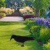 Plastic Bird Hunting Realistic PE Black Yard Crow Hunting Decoy Garden Bird Deter Scarer Scarecrow Pest Deterrent Repeller Hunting