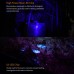 Fitorch MR35 XP-L2 1200Lumens 5lightcolors Rechargeable Portable UV LED Flashlight
