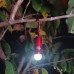 MATEMINCO CSF06 350 Lumens LED Keychain Flashlight Type-C USB Rechargeable Mini Size LED Torch Keychain Light Camping Light