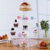 Cupcake Stand Cake Holder Wedding Party Display LED String Light 3/4/5 Tiers