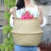 Foldable Flower Basket Seagrass Woven Belly Planter Pot Laundry Storage Skep Box