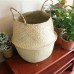 Foldable Flower Basket Seagrass Woven Belly Planter Pot Laundry Storage Skep Box