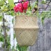 Foldable Flower Basket Seagrass Woven Belly Planter Pot Laundry Storage Skep Box