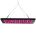 10W 75 LED Aluminum Grow Light for Plant Vegetable Indoor Hydroponic AC85-265V