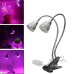 10W Dual Head Full Spectrum LED Grow Light Clip Kit for Indoor Plant Hydroponics US Plug 110-240V