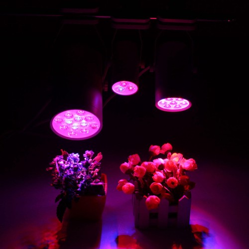 3W 7W 12W LED Plant Lights Grow Lamp Flood Supplementary Light