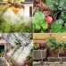 40m DIY Garden Water Irrigation Flowering Outdoor Cooling Greenhouse Planting Dripping System