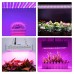 50W Full Spectrum LED Grow Light Hydroponic Indoor Veg Bloom Plant Lamp