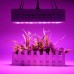 50W Full Spectrum LED Grow Light Hydroponic Indoor Veg Bloom Plant Lamp