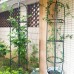 75x16 Inch Climbing Plant Rack Vine Holder Support Frame Gardening Stand Flower Display