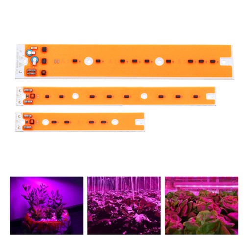 AC110V/220V 30W 50W 80W Full Spectum LED COB Chip Grow Light Source for Flood Iodine-tungsten Lamp