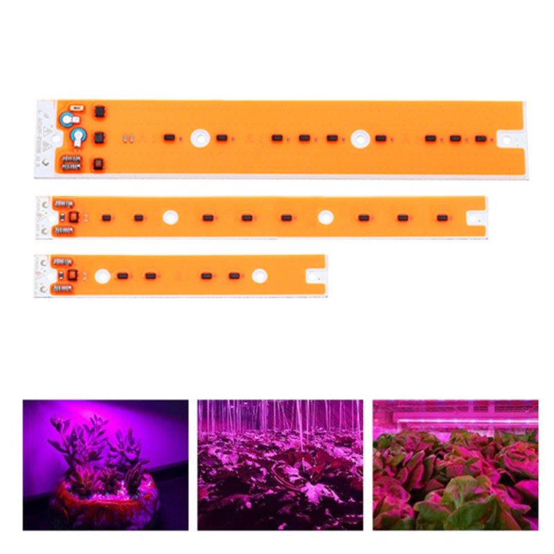 AC110V/220V 30W 50W 80W Full Spectum LED COB Chip Grow Light Source for Flood Iodine-tungsten Lamp