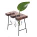 Ball Shape Glass Vase Plant Hydroponic Container Flower Bottle Table Desk Decor with Wooden Shelf Stand