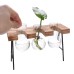 Ball Shape Glass Vase Plant Hydroponic Container Flower Bottle Table Desk Decor with Wooden Shelf Stand