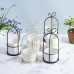 Flower Shelf Rack Versatile Ceramic Vase Stand Metal Planter Iron Shelf for Cactus