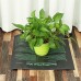 Plant Heating Mat Warm Pad Hydroponic Seed Flower Grow Blanket Greenhouse PVC Plant Mat