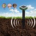 Solar Powered Mole Repellent Stakes 8pk Ultrasonic Gopher Snake Deterrent Waterproof Easy Install Offers Wide Coverage Up to 7500 Square Feet Per Stake for Outdoor Lawns and Gardens