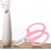 NAERSI N0325HY001 Stainless Steel Bonsai Pruning Scissors Gardening Pruning Shears Flower Arrangement Tool