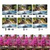 Solar Powered Mini Garden Pond Fountain Pump with 1.5W 7V Solar Panel High Lift 110cm Max Flow Rate 190L/H 6 Adjustable Spray Heads Ideal for Bird Baths and Outdoor Decorations
