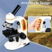 SM202 Monocular Microscope 40-2000X Magnification with Upgrade 25X Eyepiece Portable LED Light Design Include Mobile Phone Adapter and Mechanical Stage for Laboratory Bacteria and Fungi Study