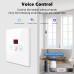 Smart WiFi Water Heater Control Device 20A High Power Compatible with Alexa Voice Control Timer Function Energy Consumption Monitoring