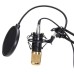 BM800 Professional Condenser Microphone Sound Audio Studio Recording Microphone System Kit Brocasting Adjustable Mic Suspension Scissor Arm Filter