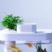 Descriptive Geometry DESGEO C180 9L Aquarium Pro Smart Feeder 7 Colors LED Light Self Cleaning Filtration Mini Aquarium With Mijia App Control