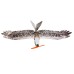 Dancing Wings Hobby E15 Biomimetic Mini Eagle 1200mm Wingspan EPP Foam RC Airplane Electric Flying Wing KIT/ KIT+Power Combo