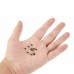 500Pcs M2 M2.5 M3 KM Screw Flat Head Phillips Screws Set Kit For RC Model