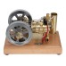 H76 Horizontal Twin Cylinder Engine Model STEM Metal Stirling Engine Science Discovery Physics Toy