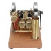 H76 Horizontal Twin Cylinder Engine Model STEM Metal Stirling Engine Science Discovery Physics Toy