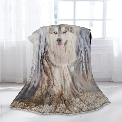 3D Print Husky Blanket Couch Quilt Fashion Cover Travel Child Bedding Velvet Plush Throw Fleece Blanket