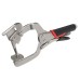 12 Inch/300mm Vigorous Pliers Woodworking Oblique Hole Clamp Dual Purpose C-Clamp High-Quality Chrome Vanadium Steel Construction Adjustable