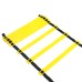 3/4/5/6/7/8/10m 6-20 Rung Speed Fitness Agility Ladder Football Basketball Training Exercise Tools