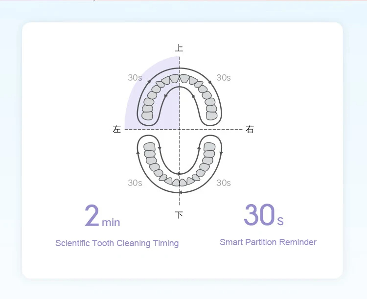 XiaomiMijiaT200T200CSonicElectricToothbrushIPX7Waterproof31000VibrationsperMinutewithDualCleaningMod-2015204-18