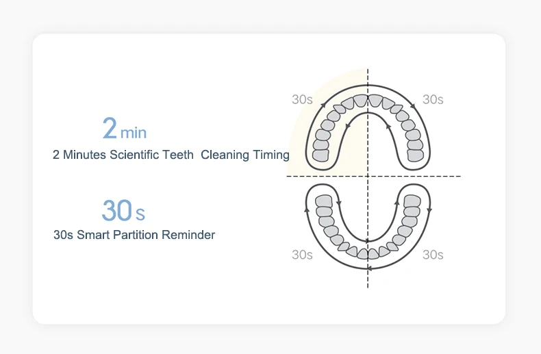 XiaomiMijiaT200T200CSonicElectricToothbrushIPX7Waterproof31000VibrationsperMinutewithDualCleaningMod-2015204-4